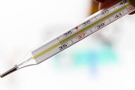 20774875-447E-4B98-93E1-F180E98F301A