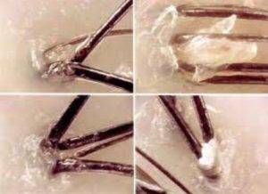 2F22453D-77F2-49C5-8E62-0CCA95FEE7D9