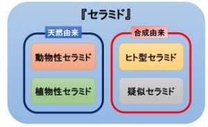 6CFB439C-402F-4885-84F2-6A8303ADB30A