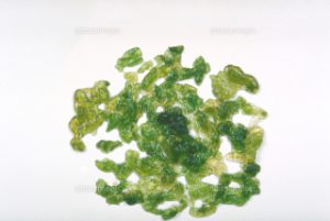 8B422AE8-C1B9-4C14-922B-69041FE3005D