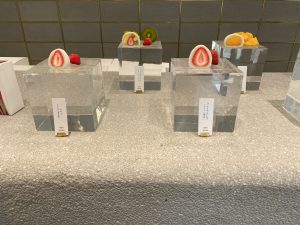 02E3D108-E935-40B8-90F7-B45EF4C421DF