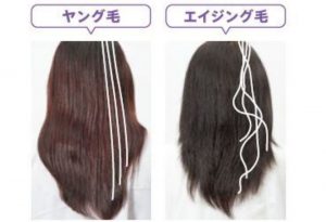 4A371708-4F9D-414C-BD5A-46938B178900